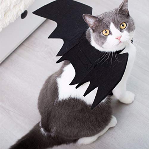Brocarp Cat Bat Wings, Halloween Costumes Cat Clothes, Pet Apparel for Small Cats, Cute Kitten Costume Dress up Accessories for Festival Party Cosplay Decoration (Black)
