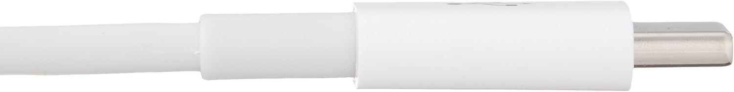  Basics USB Type-C to USB Type-C 2.0 Charger Cable - 6-Foot, White : Electronics