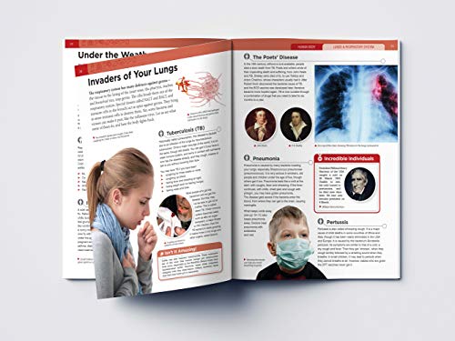 Image of Human Body - Lungs And Respiratory System: Knowledge Encyclopedia For Children