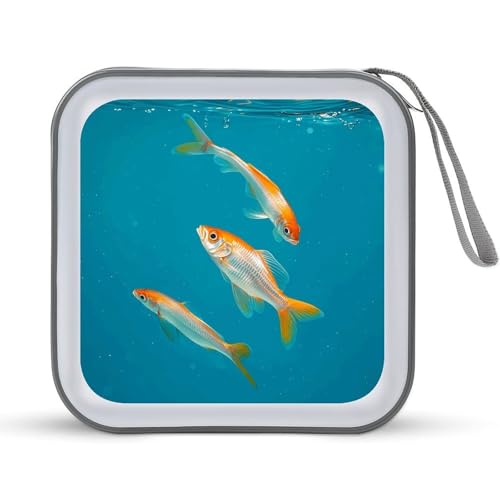 Étui de rangement CD/DVD 40 disques compact moderne en plastique transparent pour la maison