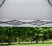 Quik Shade Summit 10 x 17-Foot Instant Canopy with Adjustable Dual Half Awnings, 170 Square Feet of Shade for 15 People - Taupe