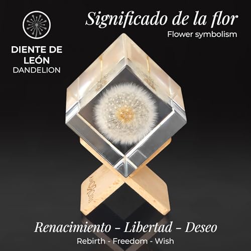 Diente de león auténtico Amoroses WISH idea regalo original elegante 5