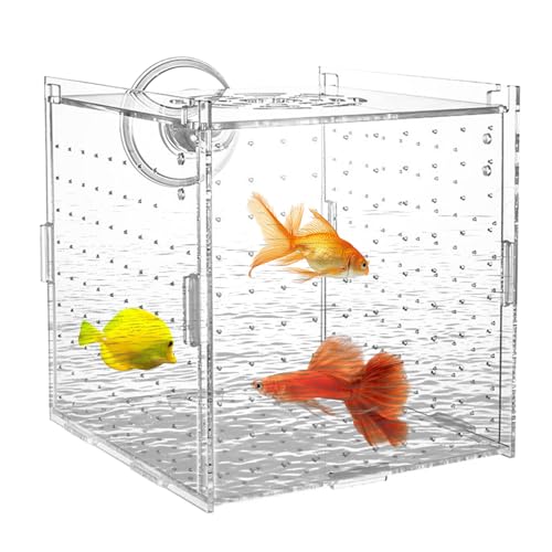 Boîte De Reproduction Pour Poisson - Nurserie Fixation Ventouses Pour Aquarium | Conteneur de Nurserie en Acrylique Avec Diviseur - Écloserie Adaptée...