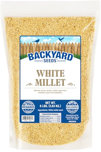 Backyard Seeds White Millet Bird Seed for Finches 8 Pounds (8 Pounds)