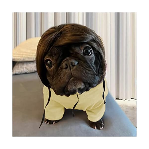 Funny dog cat cosplay wig, pet wigs, for halloween, christmas, parties, festivals, dog wigs for small medium and large dogs - image 7
