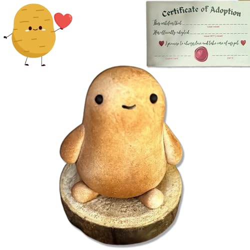Mini Funny Positive Life Potato,Creative Cute Pet Potato,Stress Relief Desktop Ornament,Adopt Your own Pet Potato,Potato Stress Toy for Encouraging Gift (1)