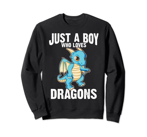 Divertido regalo de dragones para niños niños Cool mítico criatura amor Sudadera