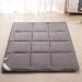 RZH Almohada/Almohadilla de Cama Doble Plegable de Franela de Tatami para Dormitorio/hogar Colchón Material de Seguridad súper Suave Muebles de Dormitorio,Gris,150X200CM