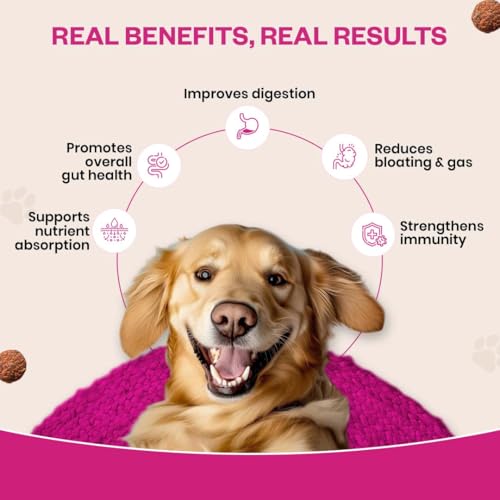 Image of Probiotic Soft Chews Supplement for Dogs | Six Probiotic Strains for Gut Health & Digestion | Chicken Flavor | Supports Immune Function | 30 Soft Chews