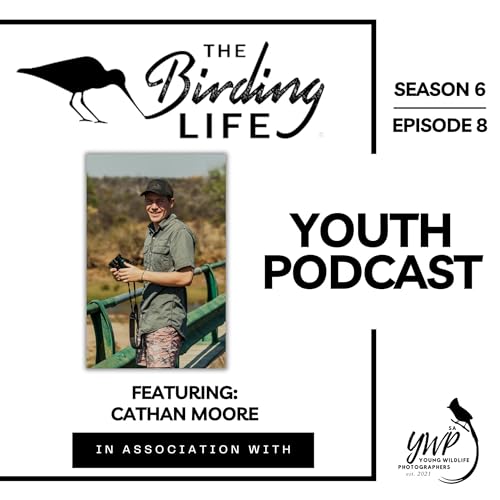 Season 6: Ep 8 | Wild Roots: Cathan's Life in the Timbavati