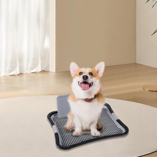 Inodoro de poste vertical Zambuph lavable para limpieza interior de mascotas 8