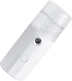 FRCOLOR 1Pc Instrumento Hidratante Nano Névoa Pulverizador Nano Facial Senhor Vapor Para Rosto USB Vapor Facial Rosto Névoa Pulverizador Eletrônico Vapor Facial Abs Carga Branco Rosto