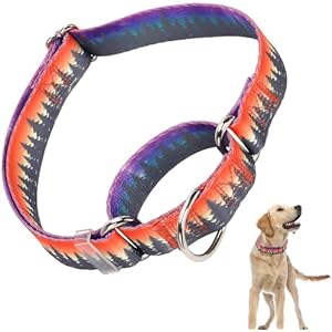 Martingale Collar for Dogs Adjustable Soft Nylon Dog Collars with Forest Design for Small Medium Large Dog, No Slip Dog Training Collar Perfect for Training, Walking, Hunting (S) 3 S (Neck 1