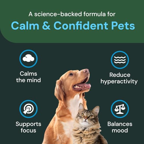 Image of VetriScience Veterinary Strength Calm & Confident Chews - Stress Supplement for Pets - Supports Brain Function for Cats & Dogs - with L-Theanine, Thiamine & More - 60 Count