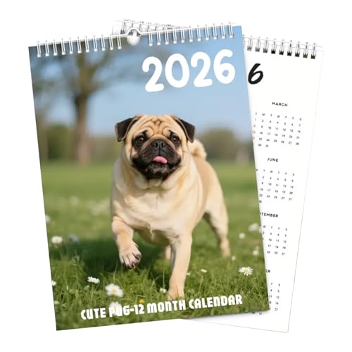 Ǌ|J_[ -  fR[V XPW[ pbh,NԃJ_[ Nvi[ Ǘp | Ƒ q t wZ  ItBX  ① zf[