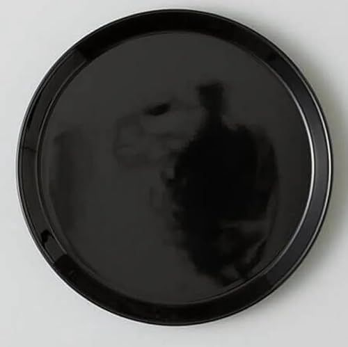 HASAMI PLATE BLACK v[g ubN