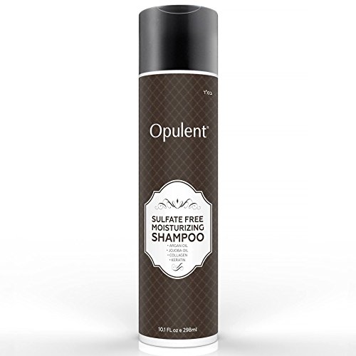 Moroccan Argan Oil Shampoo for Dry hair, Color Treated, Damaged Hair - Sulfate Free Gentle Daily Keratin Hair Treatment with Jojoba Oil for Oily, Curly, Fine, Straight Hair - 10.1 Oz