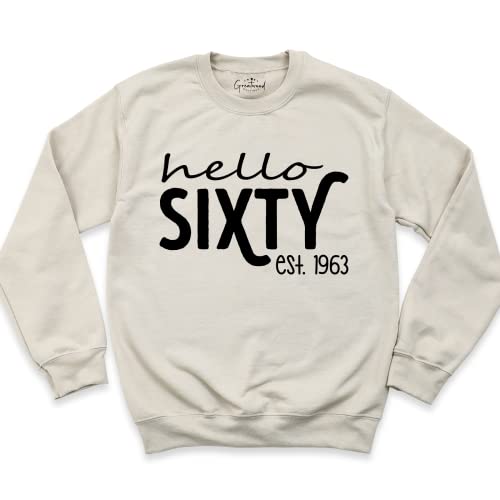 Hello Sixty Est 1964 Sweatshirt, 60th Birthday Sweatshirt, Funny Hello Sixty Sweatshirt, Birthday Party Sweatshirt, Sixty Birthday Sweatshirt, 60th Birthday Gift Tee Shirt3
