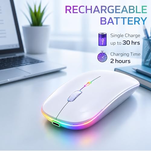 Image of Ant Globe 25 Dual Mode Wireless Mouse|30-Hour Playtime|Bluetooth + 2.4GHz USB |Rechargeable Silent Optical Mouse for Laptop, MacBook, iPad, PC |3-Level Adjustable 1600 DPI, Slim Portable Design -White