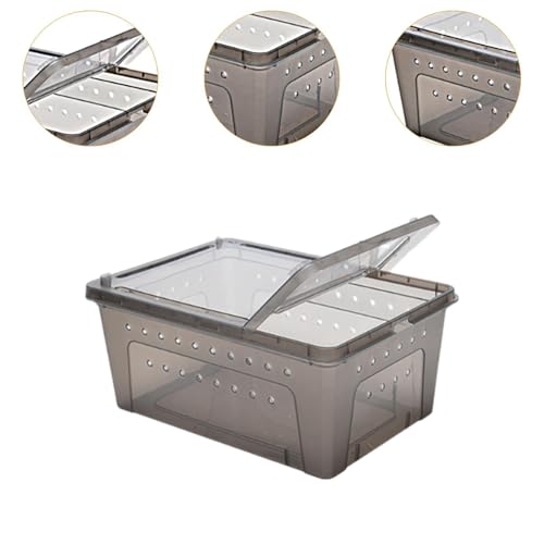 MYCENSE Caixa de alimentação de répteis Habitat Animal Cage portátil Hatching Case Box Caixa de cria