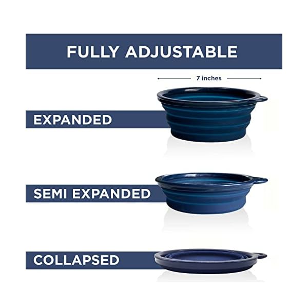 Large Collapsible Dog Bowl 1000 mL