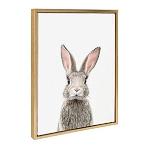 Kate and Laurel Sylvie Female Rabbit Framed Canvas Wall Art by Amy Peterson, 18x24 Gold, Baby Animal Home Decor Kate and Laurel Sylvie Female Rabbit Framed Canvas Wall Art by Amy Peterson 18×24 Gold Baby Animal Home Decor