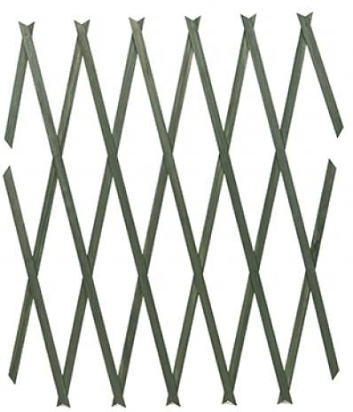 Roots & Shoots2x Green Large Expanding Wooden Trellis | 6Ft x 2Ft