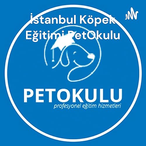 İstanbul K&ouml;pek Eğitimi PetOkulu - K&ouml;pek Oteli - K&ouml;pek Eğitim Fiyatları cover art