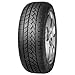 Produktbild FORTUNA Ganzjahresreifen 215/65 R 16 C TL 109/107T ECOPLUS VAN 4S 8PR BSW M+S 3PMSF Allwetter