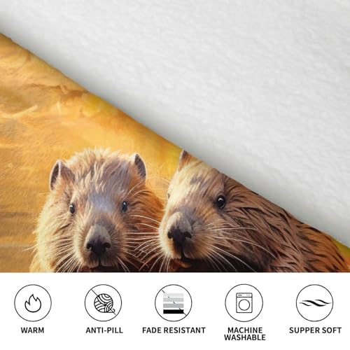 Couverture à capuche EdWal Beaver Working3 pour cocooning et soirées canapé