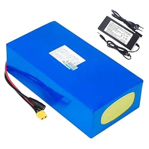 SpokeNation 48V 20Ah E-Bike Akku Blau