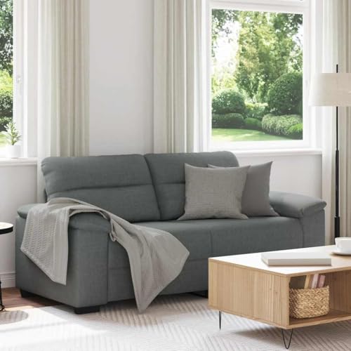 Emmtore Sofá de 2 plazas de Tela Gris Oscuro 180x81x84 cm