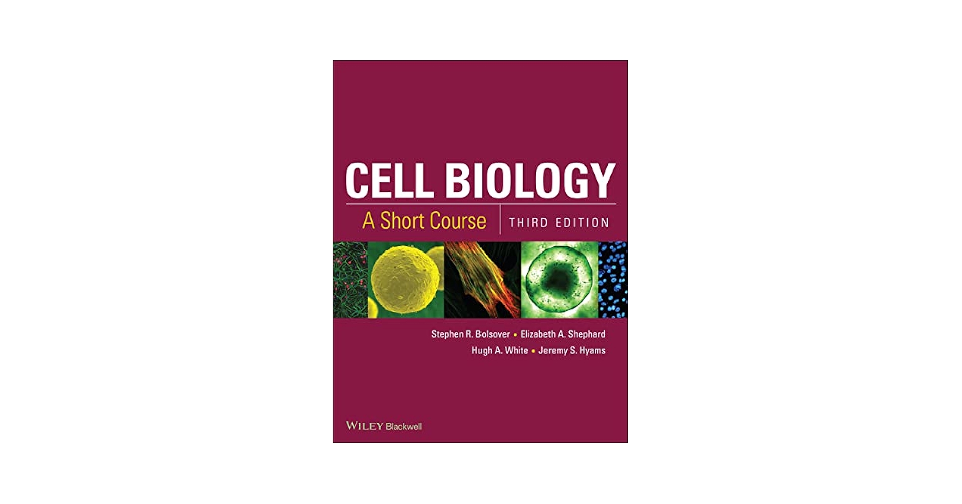 健康・医学 HUMAN BIOLOGY SEVENTEENTH EDITION 健康・医学 HUMAN BIOLOGY SEVENTEENTH EDITION Human Biology