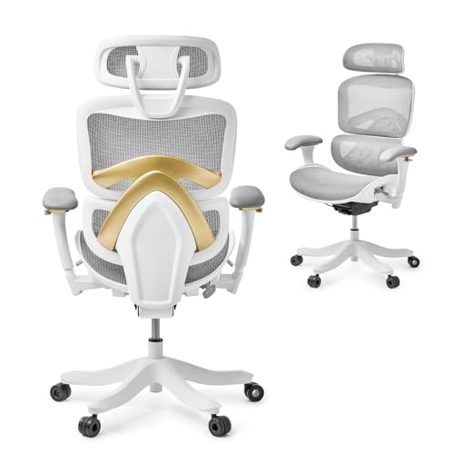 Nouhaus Ergo Kyrix Ergonomic Office Chair, High Back Mesh Office Desk Chairs with Lumbar Support, Adjustable Seat Depth, 3D Armrest, 2D Headrest, Comfy Big and Tall Computer Gaming Chair (Bl