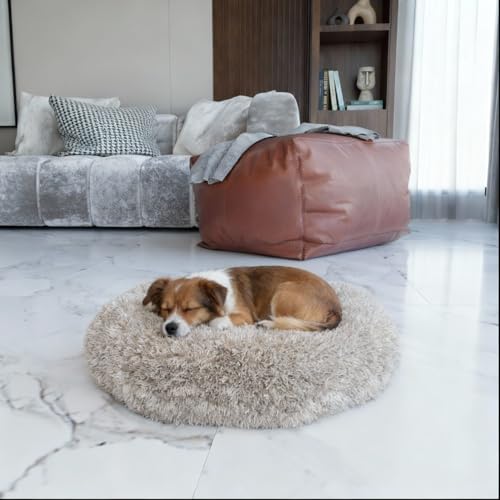BENNO® Hundebett BALU Donutform, 50x50x16 cm, weiches Kuschelbett mit Polypropylen-Füllung, beige, waschbar, Rutschfester Boden, inkl. Kauknochen, Schlafplatz für Hunde