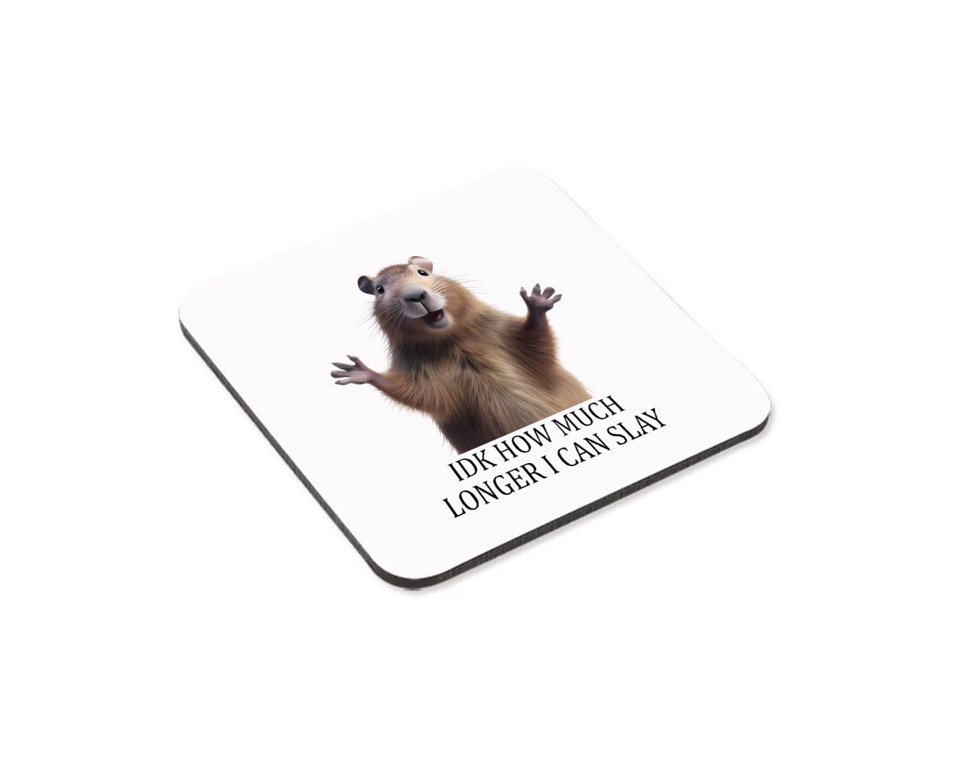 Shamsco IDK How Much Longer I Can Slay Funny Sarcastic Novelty Coffee Tea Cup High Quality Ceramic Mug and Coaster Gift Set(Coaster)