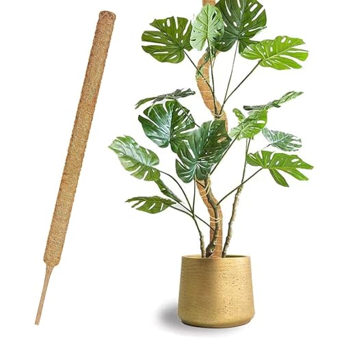 1 Pieza 70cm*4CM tutores para Plantas,Tutor Monstera,Moss Pole,Plegable Tutor Monstera,Trepadoras Fibra de Coco Soporte,Soporte para Plantas de tótem,para Plantas de Interior y Exterior
