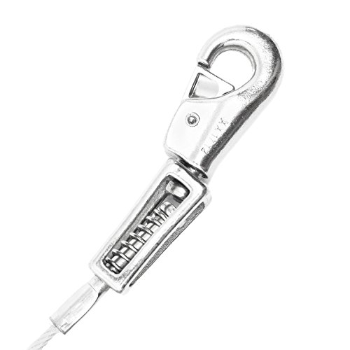 Beast Dog Tie Out for Boss Pet - 15ft Prestige with Spring