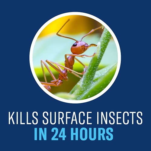 BioAdvanced Complete Brand Insect Killer for Soil and Turf, Ready-to-Spray, 32 oz, Outdoor Ant Killer