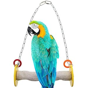 Roll Bird Swing – Perch Bird Toys Trims Nails and Beaks, Safe and Non-Toxic Bird Cage Accessories for Small and Large Birds, Swinging Toys Birds Will Love, XL 11 Inches