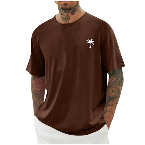 Oversized Tshirts for Men Summer Retro Loose Fit Beach Streetwear Casual Graphic Roud Neck Short Sleeve Basic Shirts