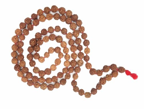 Wonder Care WC Authentic 5 face Rudraksh Mala- Natural Rudraksha ...