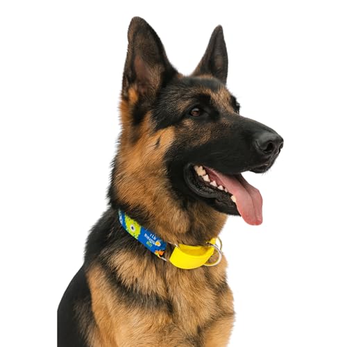 Image of Dog-O-Bow Monster Print Martingale Dog Collar, Durable, Comfortable & Adjustable Training Collar (XL)