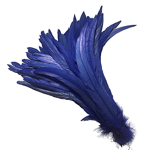 20 Pcs 14-16 Inch Natural Rooster Coquetail Feathers For Stage Performance And Costume Decoration, Halloween Carnival (Royal Blue) #TOP2