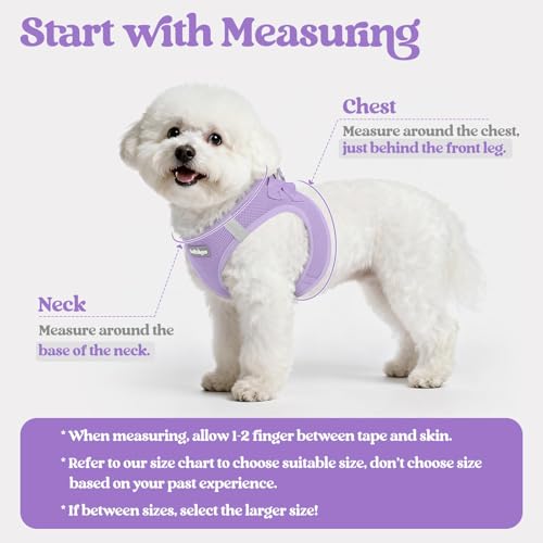 Rabbitgoo Step-In Harness & Leash Set (Light Purple, Small) — view 2
