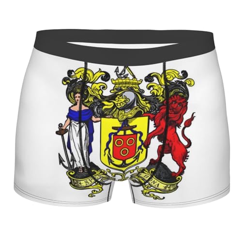 DIOLPJDES of cape town Boxer Briefs Mens Shorts Underwear Soft Shorts Comfortable Breathable Gifts For Boyfriend Black