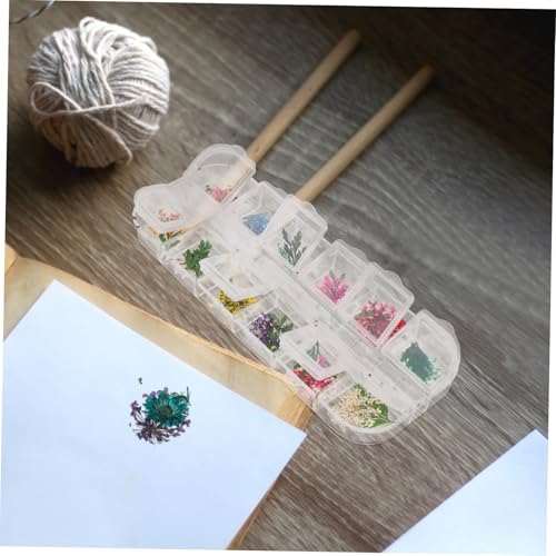 Kit DIY de flores secas para resina y manualidades miniatura 7