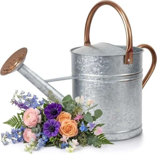 1 Gallon Galvanized Watering Can Outdoor, Large...