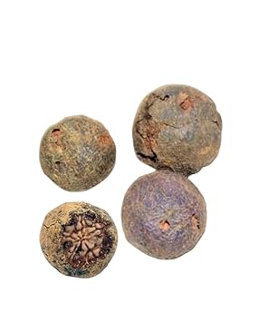 Original Nepal rudraksha Sacred Fruit-tears of Lord Shiva for Offer mahamrityunjaya rudraksham for Worship Pooja Nepali Natural rudraksha Fruit Brown rudraksh (Pack of 15)