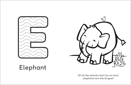 A Is for Animals!: Preschool Coloring Book - Thumbnail 2